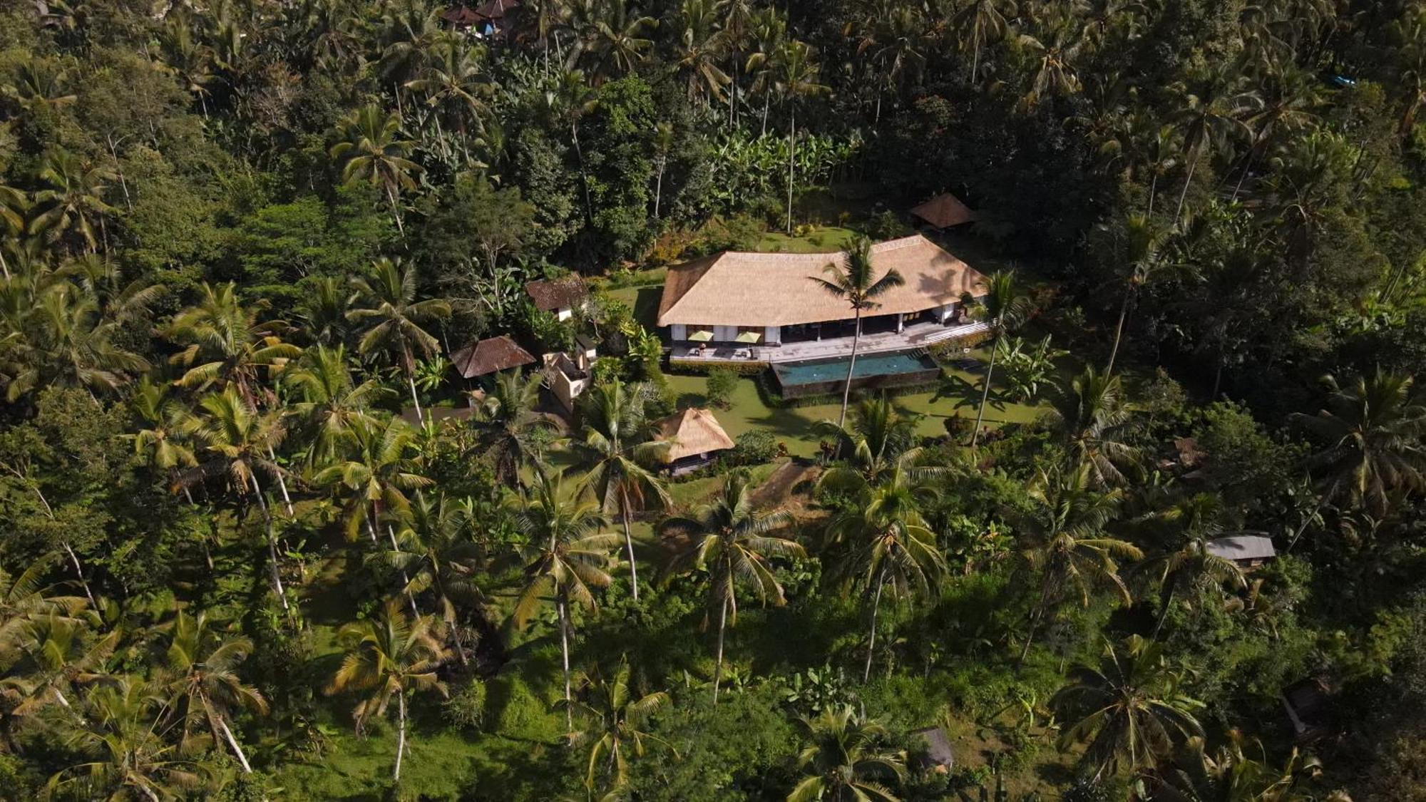 Villa Themma Jungle - Sumptuous 3Br Luxury Villa With Majestic Jungle View North Of Ubud Екстер'єр фото