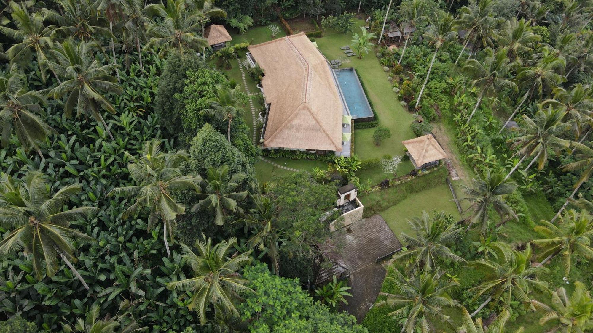 Villa Themma Jungle - Sumptuous 3Br Luxury Villa With Majestic Jungle View North Of Ubud Екстер'єр фото