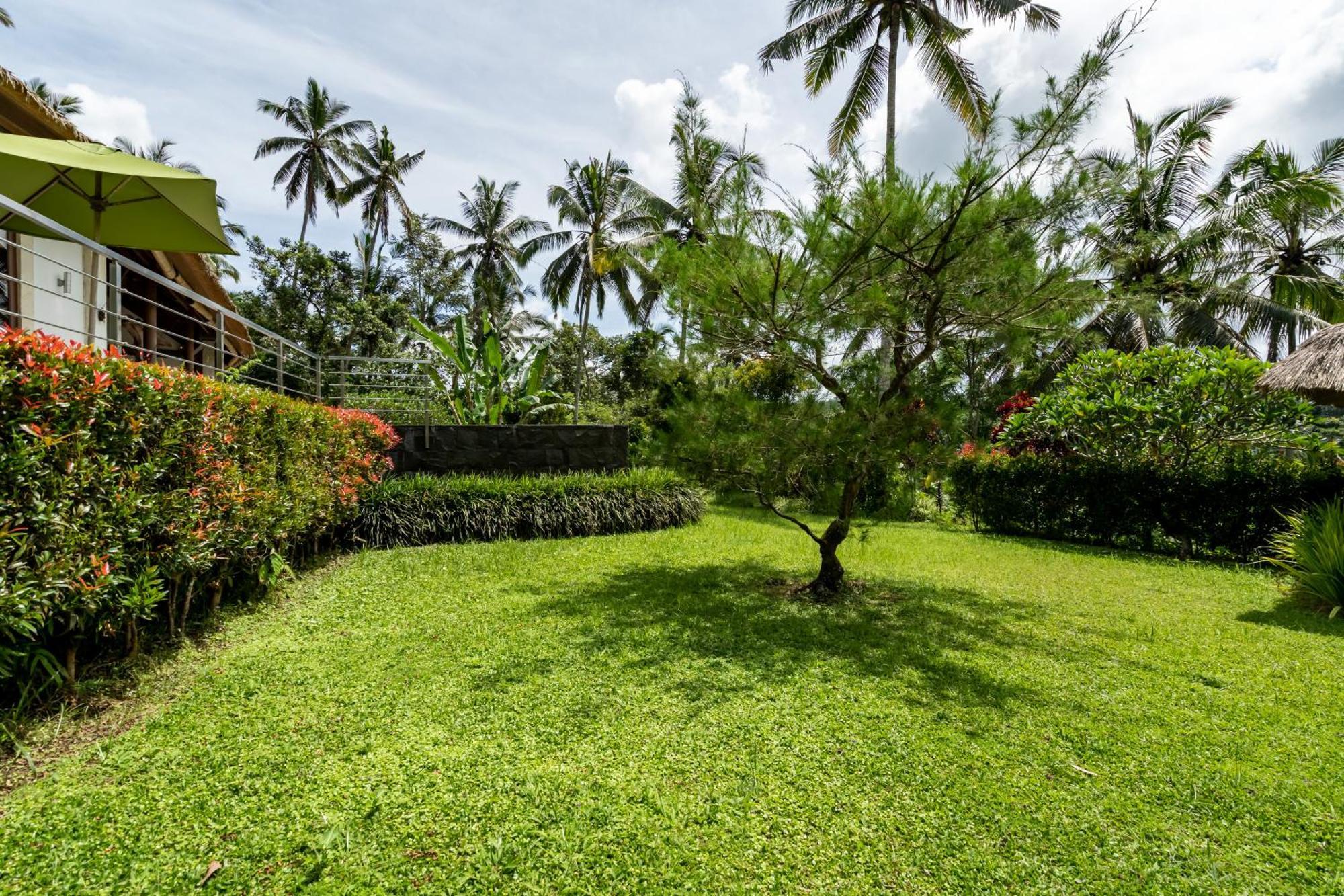 Villa Themma Jungle - Sumptuous 3Br Luxury Villa With Majestic Jungle View North Of Ubud Екстер'єр фото