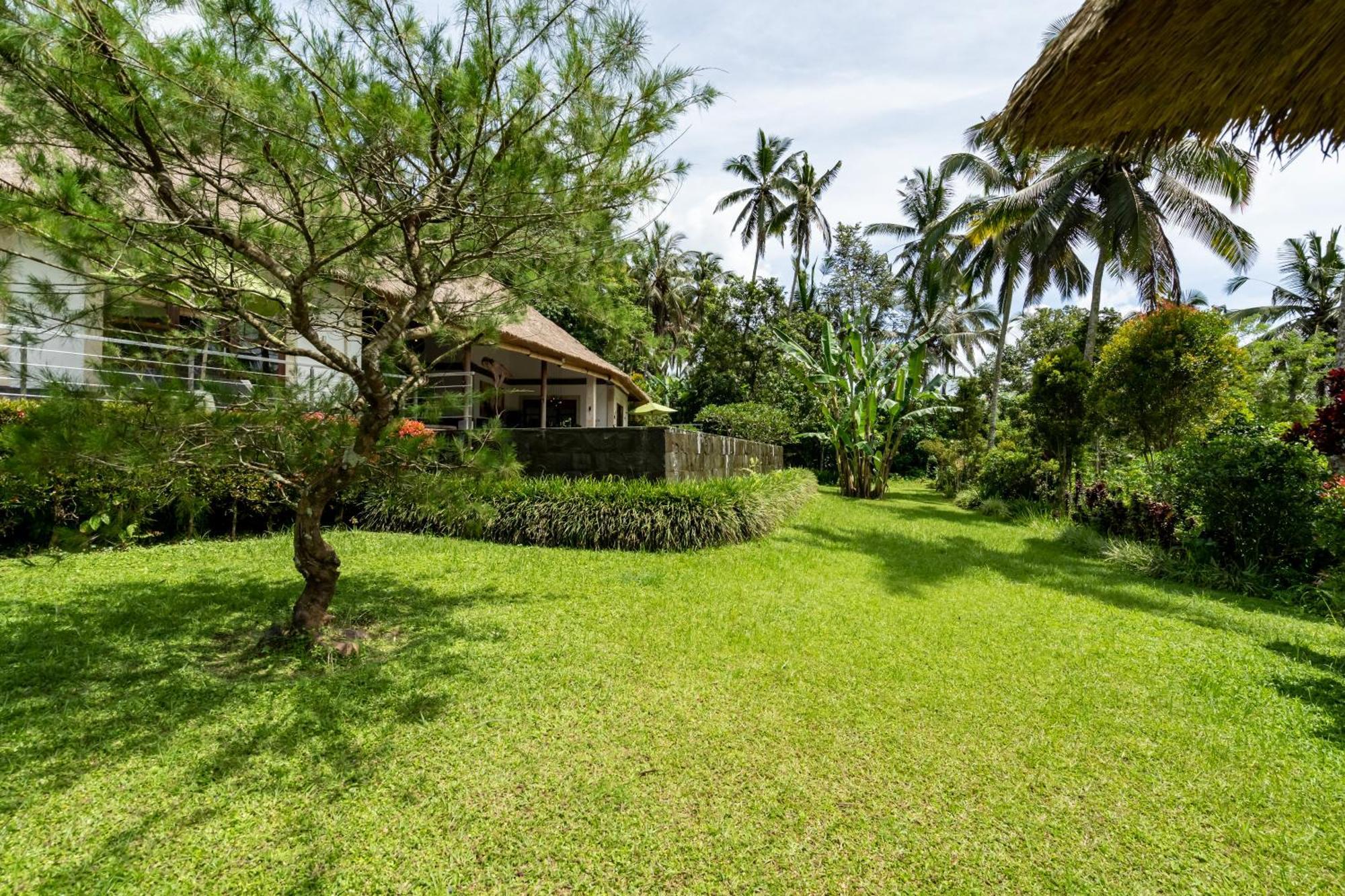 Villa Themma Jungle - Sumptuous 3Br Luxury Villa With Majestic Jungle View North Of Ubud Екстер'єр фото