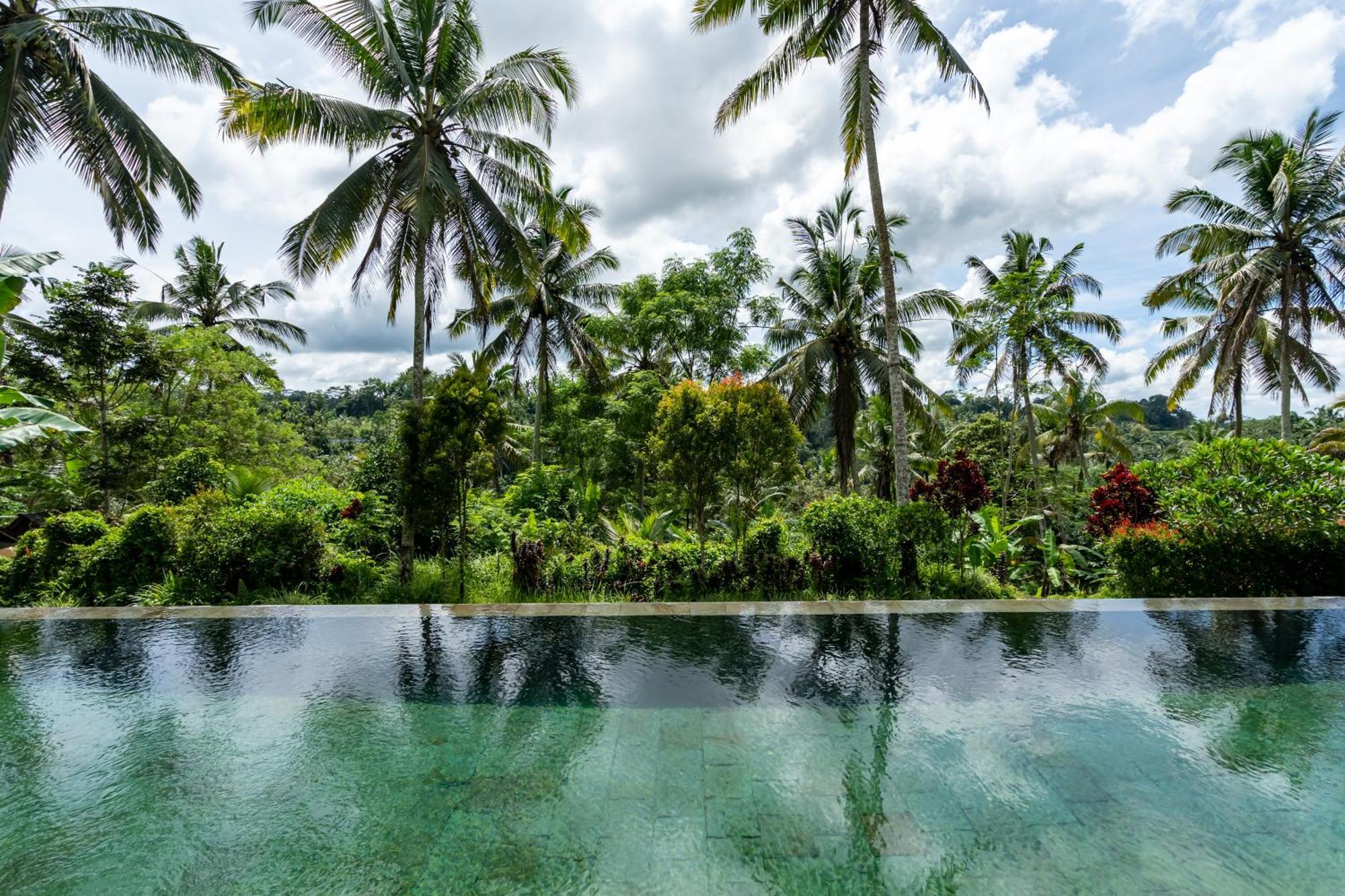 Villa Themma Jungle - Sumptuous 3Br Luxury Villa With Majestic Jungle View North Of Ubud Екстер'єр фото